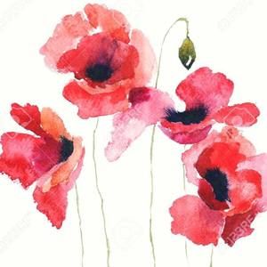 Meet your Posher, Justine